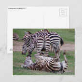 Romping Over Briefkaart (Voorkant / Achterkant)