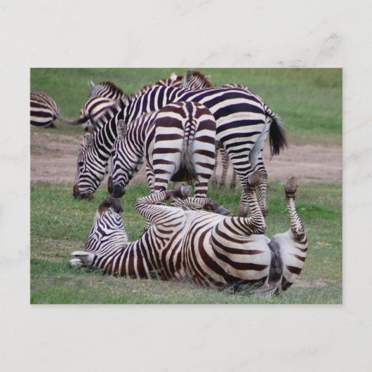 Romping Over Briefkaart (Voorkant)