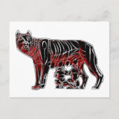 Romulus en Remus Briefkaart (Voorkant)