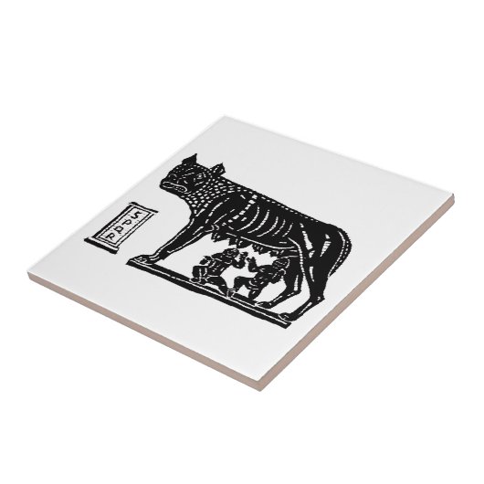 Romulus en Remus Roman Mythology Tegeltje (Zijkant)