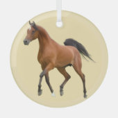 Ron Hevener Glas Ornament (Voorkant)