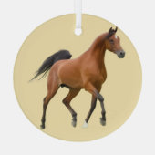 Ron Hevener Glas Ornament (Achterkant)