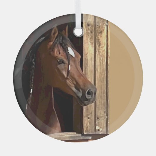 Ron Hevener Glas Ornament (Voorkant)