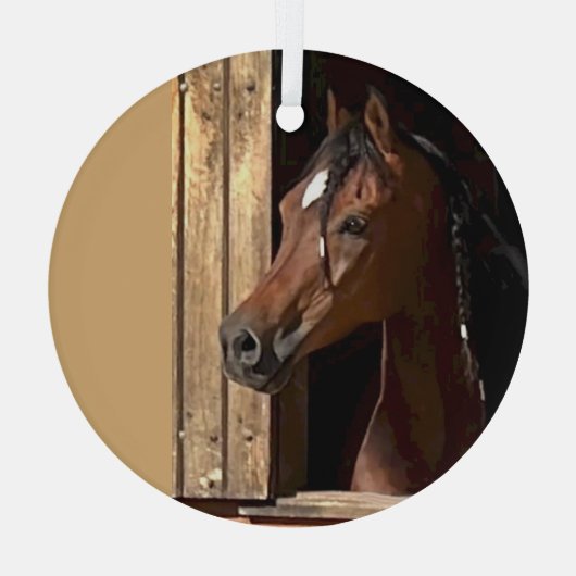 Ron Hevener Glas Ornament (Achterkant)