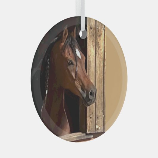 Ron Hevener Glas Ornament (Voorkant Rechts)