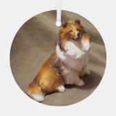 Ron Hevener Glas Ornament (Achterkant)