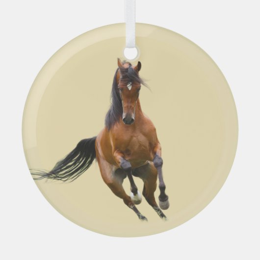 Ron Hevener Glas Ornament (Voorkant)