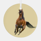 Ron Hevener Glas Ornament (Achterkant)