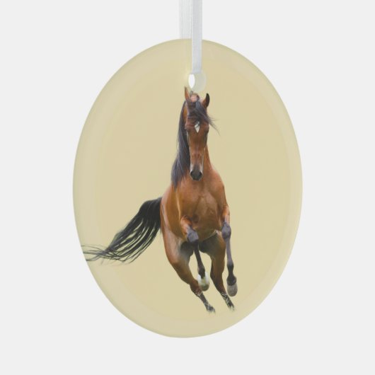 Ron Hevener Glas Ornament (Voorkant Rechts)