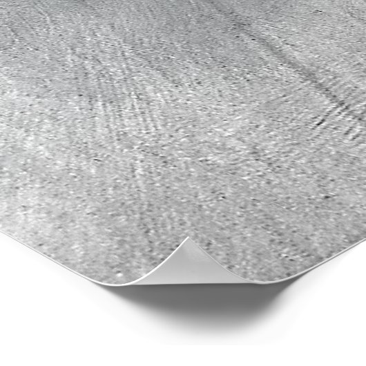 Ron Paul Poster (Hoek)