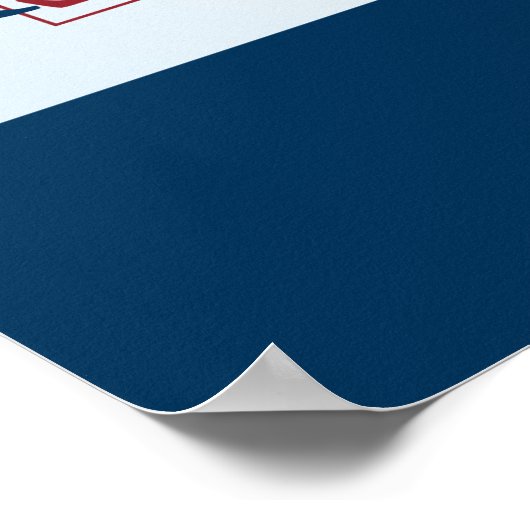 Ron Paul Poster (Hoek)