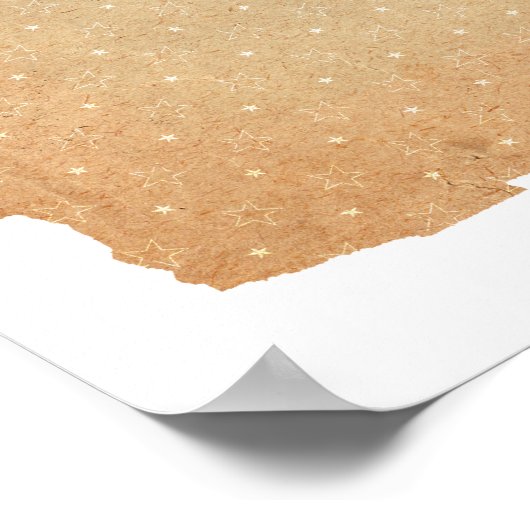 Ron Weasley 2 Poster (Hoek)