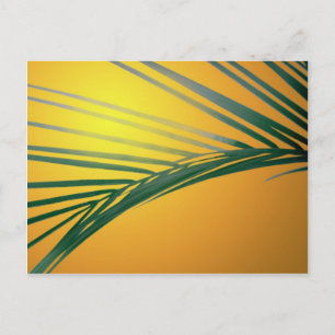 rond bij zonsondergang briefkaart