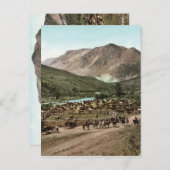 Rond (Colorado, 1898) Briefkaart (Voorkant / Achterkant)