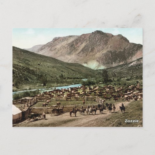 Rond (Colorado, 1898) Briefkaart (Achterkant)