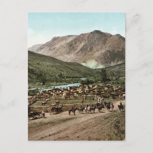 Rond (Colorado, 1898) Briefkaart (Voorkant)