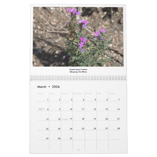 Rond de agenda van Albuquerque Kalender (Mar 2026)