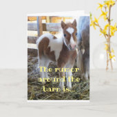 ROND DE BARN KIJKT U OP "40" KAART (Gele Bloem)