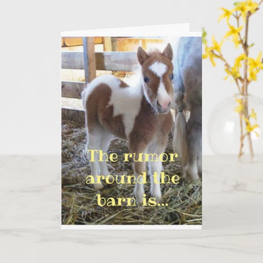 ROND DE BARN KIJKT U OP "40" KAART (Gele Bloem)