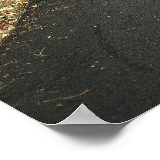 Rond de Buil Poster (Hoek)