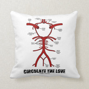 Rond de liefde (cirkel van Willis) Kussen