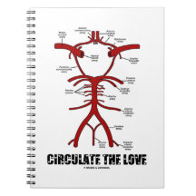 Rond de liefde (cirkel van Willis)
