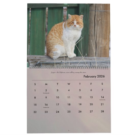 Rond het Boerderij Kalender (Feb 2026)