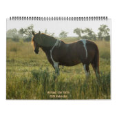 Rond het Boerderij Kalender (Hoes)