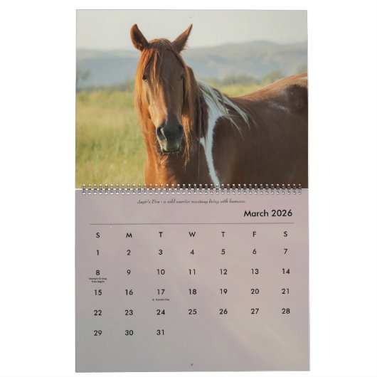 Rond het Boerderij Kalender (Mar 2026)