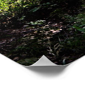 Rond het Poster van de Hoek (Hoek)