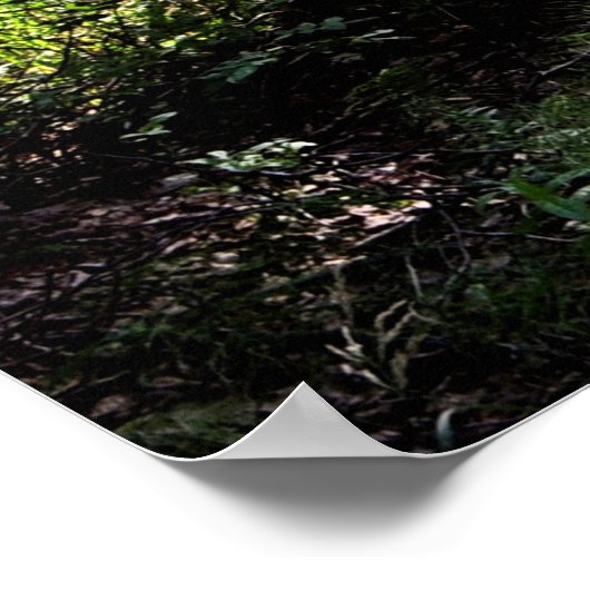 Rond het Poster van de Hoek (Hoek)