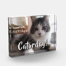 Rond hier is elke dag Caturday Knuffel Kat Templat
