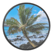 Rond... Hockey Puck (Voorkant)