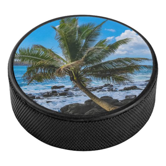 Rond... Hockey Puck (3/4)