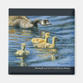 "Rond-in-de" Magneet