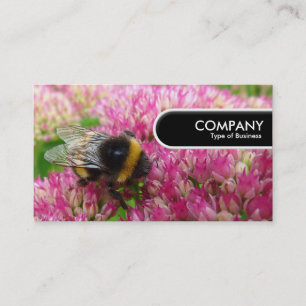 Rond Label rand - Bumble Bee op sedum