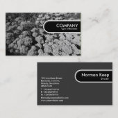 Rond Label rand - Sedum "Autumn Joy" (Voorkant / Achterkant)