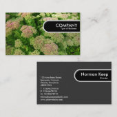 Rond Label rand - Sedum "Autumn Joy" (Voorkant / Achterkant)