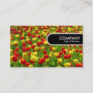 Rond Label rand — Zee Tulpen