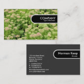 Rond Label - Sedum (herfst Joy) (Voorkant / Achterkant)