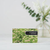 Rond Label - Sedum (herfst Joy) (Staand voorkant)