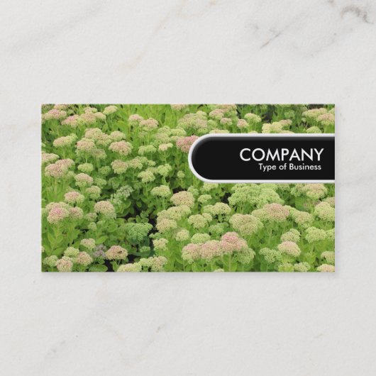 Rond Label - Sedum (herfst Joy) (Voorkant)