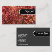 Rond Label van de Rand - Autumn Leaves (Voorkant / Achterkant)
