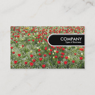 Rond Label van de Rand - Bed van Tulpen