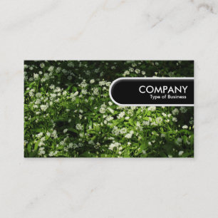 Rond Label van de Rand - Windknoflook