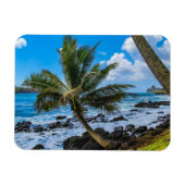 Rond... Magneet (Horizontaal)