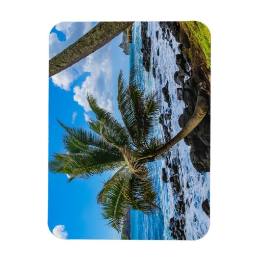 Rond... Magneet (Verticaal)