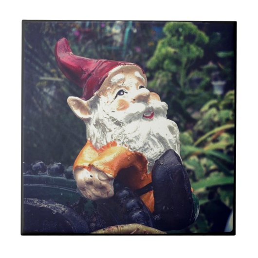 Rond met de gnoom in de tuin. tegeltje (Voorkant)
