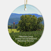 Rond Ornament antietamobservatietoren (Links)