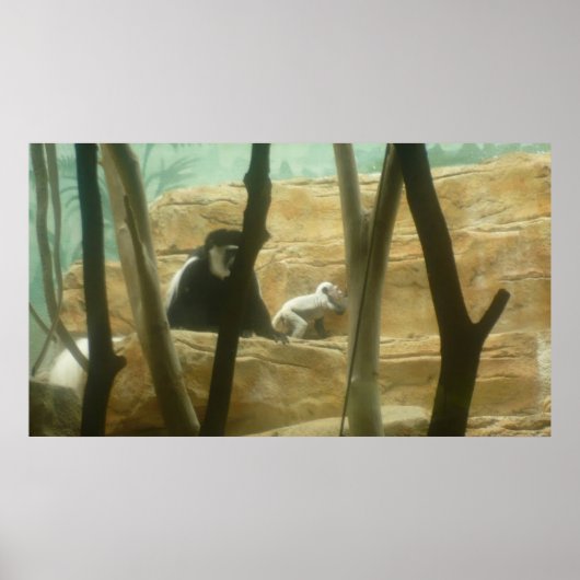 Rond Poster (Voorkant)